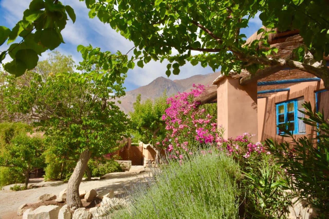 Refugio Misterios Del Elqui Bed & Breakfast Pisco Elqui Luaran gambar
