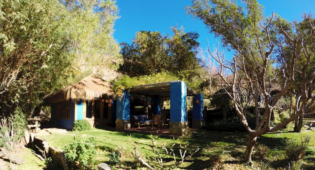 Refugio Misterios Del Elqui Bed & Breakfast Pisco Elqui Luaran gambar