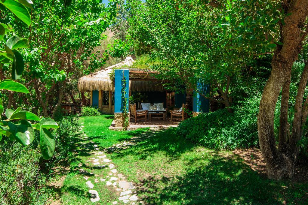 Refugio Misterios Del Elqui Bed & Breakfast Pisco Elqui Luaran gambar